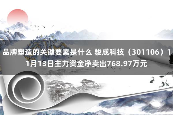 品牌塑造的关键要素是什么 骏成科技（301106）11月13日主力资金净卖出768.97万元