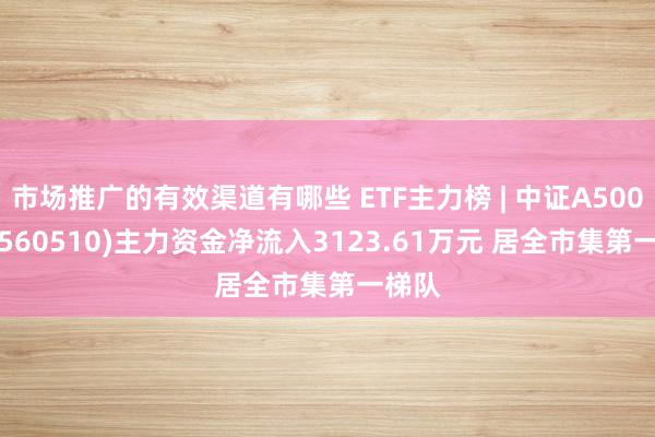 市场推广的有效渠道有哪些 ETF主力榜 | 中证A500ETF(560510)主力资金净流入3123.61万元 居全市集第一梯队