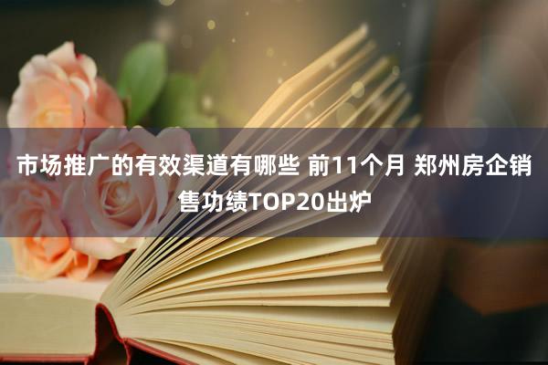 市场推广的有效渠道有哪些 前11个月 郑州房企销售功绩TOP20出炉