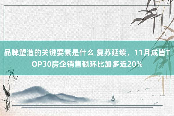 品牌塑造的关键要素是什么 复苏延续，11月成皆TOP30房企销售额环比加多近20%