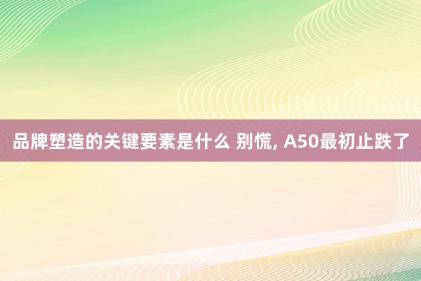 品牌塑造的关键要素是什么 别慌, A50最初止跌了