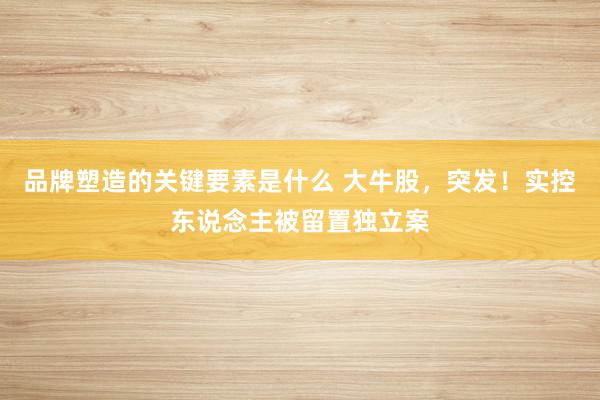 品牌塑造的关键要素是什么 大牛股，突发！实控东说念主被留置独立案