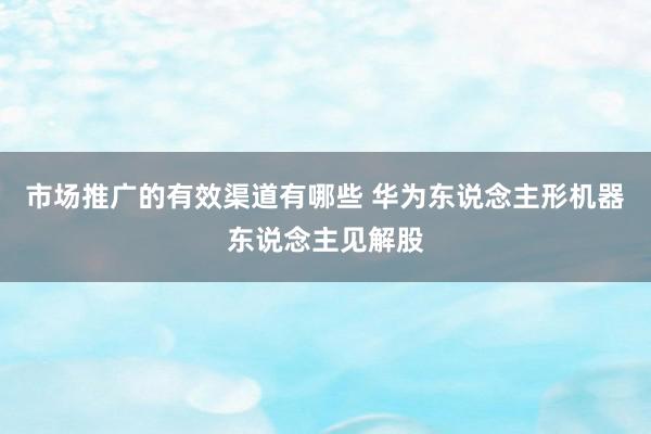 市场推广的有效渠道有哪些 华为东说念主形机器东说念主见解股