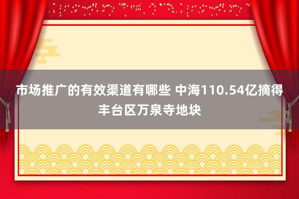 市场推广的有效渠道有哪些 中海110.54亿摘得丰台区万泉寺地块