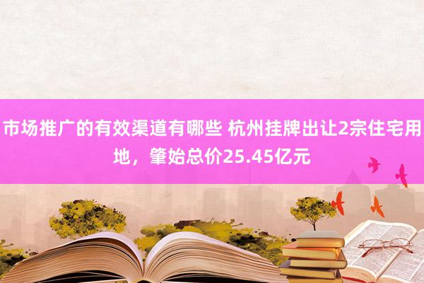 市场推广的有效渠道有哪些 杭州挂牌出让2宗住宅用地，肇始总价25.45亿元