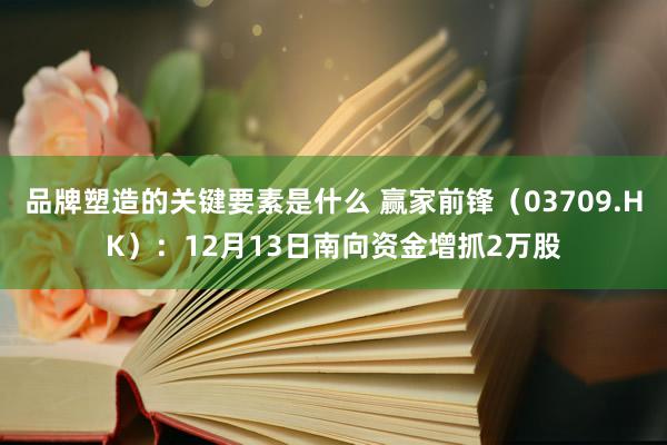 品牌塑造的关键要素是什么 赢家前锋（03709.HK）：12月13日南向资金增抓2万股