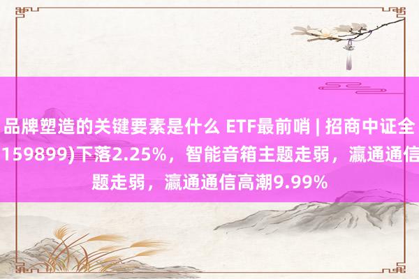 品牌塑造的关键要素是什么 ETF最前哨 | 招商中证全指软件ETF(159899)下落2.25%，智能音箱主题走弱，瀛通通信高潮9.99%