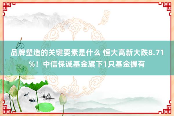 品牌塑造的关键要素是什么 恒大高新大跌8.71%！中信保诚基金旗下1只基金握有