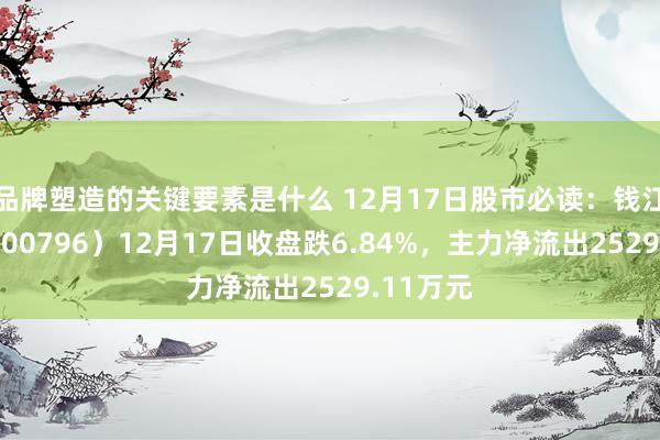 品牌塑造的关键要素是什么 12月17日股市必读：钱江生化（600796）12月17日收盘跌6.84%，主力净流出2529.11万元