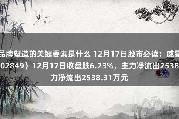 品牌塑造的关键要素是什么 12月17日股市必读：威星智能（002849）12月17日收盘跌6.23%，主力净流出2538.31万元