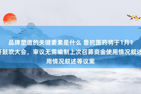 品牌塑造的关键要素是什么 鲁抗医药将于1月16日召开鼓吹大会，审议无需编制上次召募资金使用情况叙述等议案