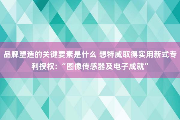 品牌塑造的关键要素是什么 想特威取得实用新式专利授权: “图像传感器及电子成就”