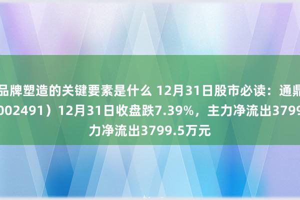 品牌塑造的关键要素是什么 12月31日股市必读：通鼎互联（002491）12月31日收盘跌7.39%，主力净流出3799.5万元