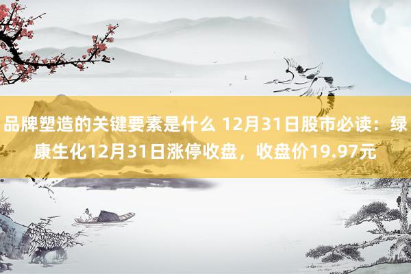 品牌塑造的关键要素是什么 12月31日股市必读：绿康生化12月31日涨停收盘，收盘价19.97元