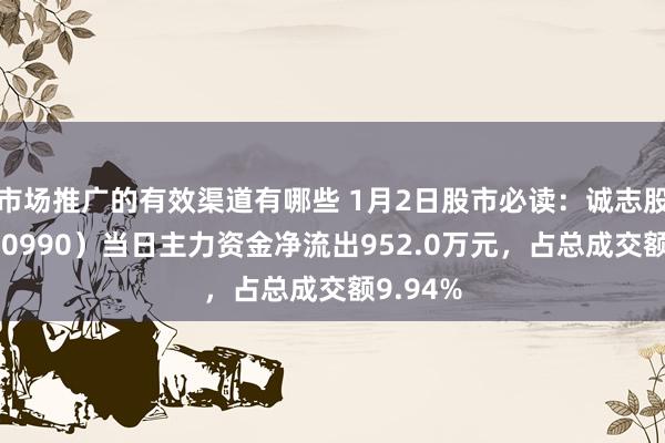 市场推广的有效渠道有哪些 1月2日股市必读：诚志股份（000990）当日主力资金净流出952.0万元，占总成交额9.94%