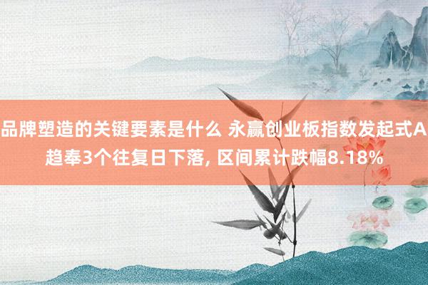 品牌塑造的关键要素是什么 永赢创业板指数发起式A趋奉3个往复日下落, 区间累计跌幅8.18%