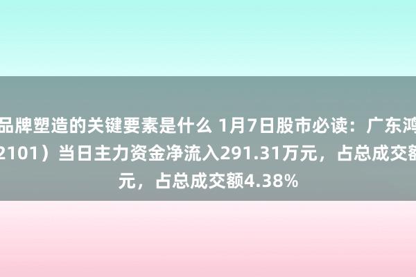 品牌塑造的关键要素是什么 1月7日股市必读：广东鸿图（002101）当日主力资金净流入291.31万元，占总成交额4.38%