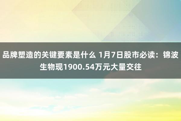 品牌塑造的关键要素是什么 1月7日股市必读：锦波生物现1900.54万元大量交往