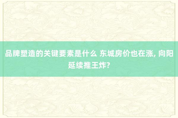 品牌塑造的关键要素是什么 东城房价也在涨, 向阳延续推王炸?