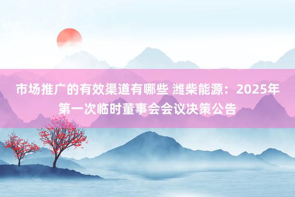 市场推广的有效渠道有哪些 潍柴能源：2025年第一次临时董事会会议决策公告