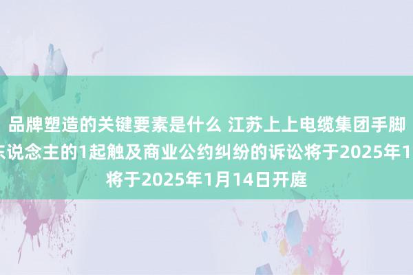 品牌塑造的关键要素是什么 江苏上上电缆集团手脚原告/上诉东说念主的1起触及商业公约纠纷的诉讼将于2025年1月14日开庭