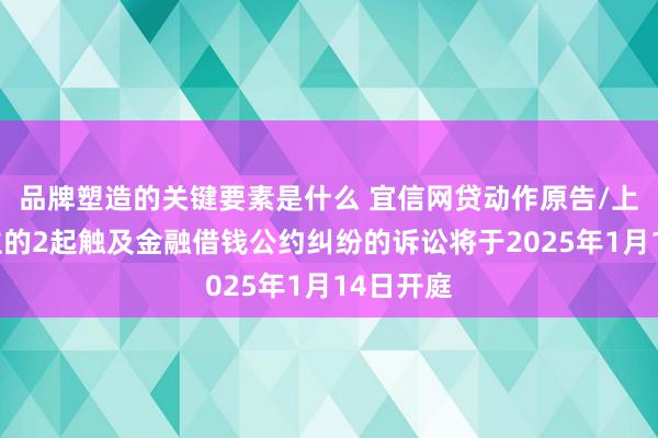 品牌塑造的关键要素是什么 宜信网贷动作原告/上诉东谈主的2起触及金融借钱公约纠纷的诉讼将于2025年1月14日开庭