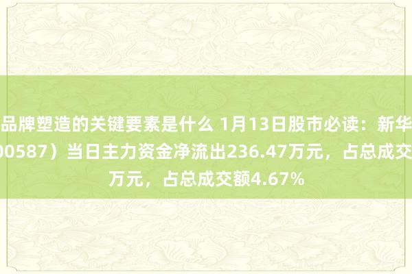 品牌塑造的关键要素是什么 1月13日股市必读：新华医疗（600587）当日主力资金净流出236.47万元，占总成交额4.67%