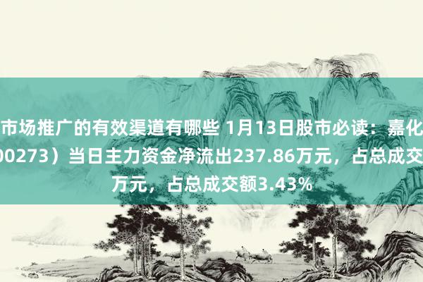 市场推广的有效渠道有哪些 1月13日股市必读：嘉化动力（600273）当日主力资金净流出237.86万元，占总成交额3.43%