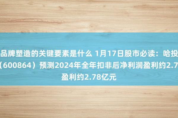 品牌塑造的关键要素是什么 1月17日股市必读：哈投股份（600864）预测2024年全年扣非后净利润盈利约2.78亿元