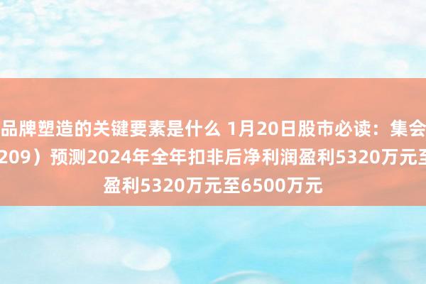 品牌塑造的关键要素是什么 1月20日股市必读：集会化学（301209）预测2024年全年扣非后净利润盈利5320万元至6500万元