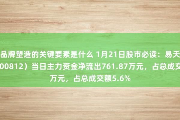 品牌塑造的关键要素是什么 1月21日股市必读：易天股份（300812）当日主力资金净流出761.87万元，占总成交额5.6%