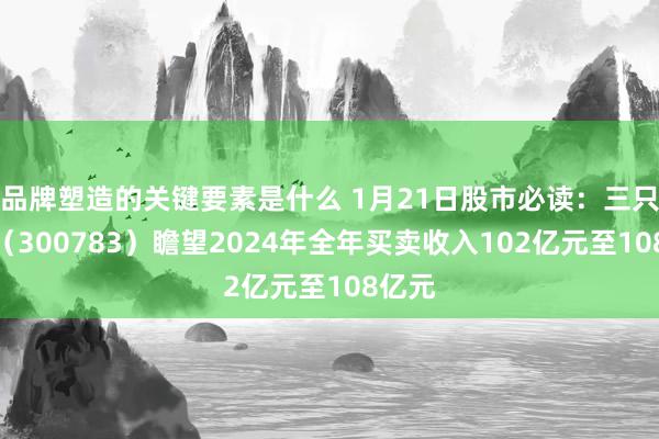 品牌塑造的关键要素是什么 1月21日股市必读：三只松鼠（300783）瞻望2024年全年买卖收入102亿元至108亿元