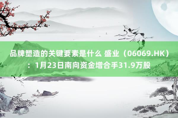 品牌塑造的关键要素是什么 盛业（06069.HK）：1月23日南向资金增合手31.9万股