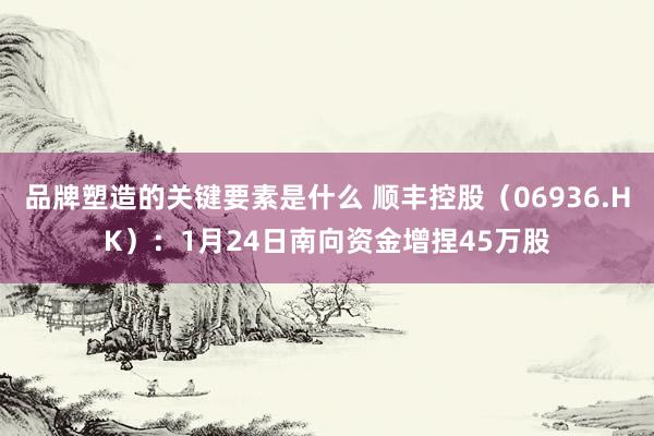 品牌塑造的关键要素是什么 顺丰控股（06936.HK）：1月24日南向资金增捏45万股