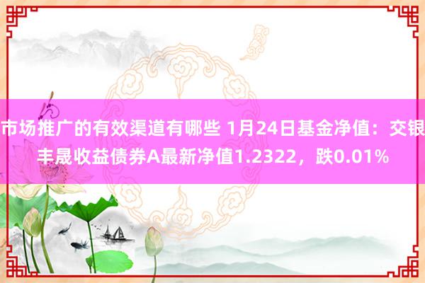 市场推广的有效渠道有哪些 1月24日基金净值：交银丰晟收益债券A最新净值1.2322，跌0.01%