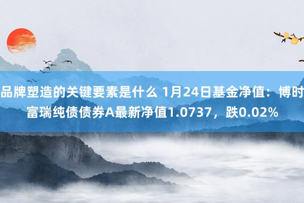 品牌塑造的关键要素是什么 1月24日基金净值：博时富瑞纯债债券A最新净值1.0737，跌0.02%