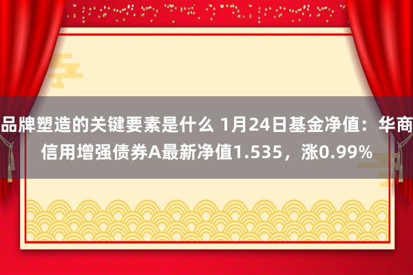 品牌塑造的关键要素是什么 1月24日基金净值：华商信用增强债券A最新净值1.535，涨0.99%