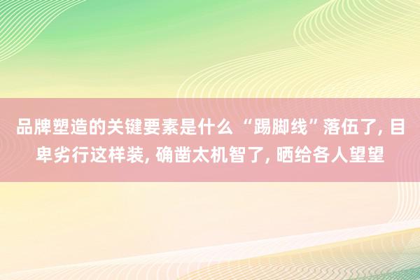 品牌塑造的关键要素是什么 “踢脚线”落伍了, 目卑劣行这样装, 确凿太机智了, 晒给各人望望