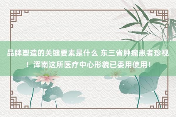 品牌塑造的关键要素是什么 东三省肿瘤患者珍视！浑南这所医疗中心形貌已委用使用！