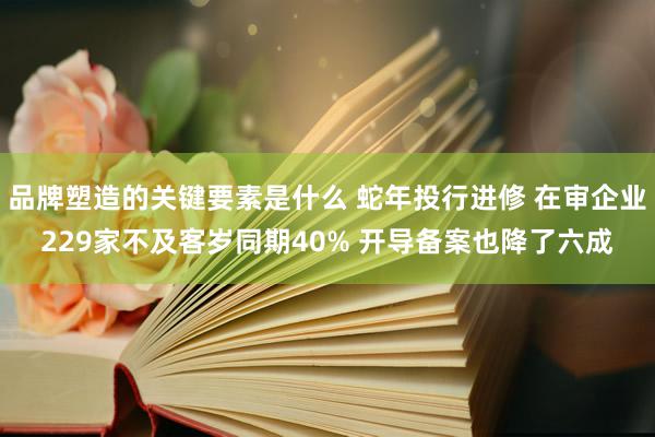 品牌塑造的关键要素是什么 蛇年投行进修 在审企业229家不及客岁同期40% 开导备案也降了六成