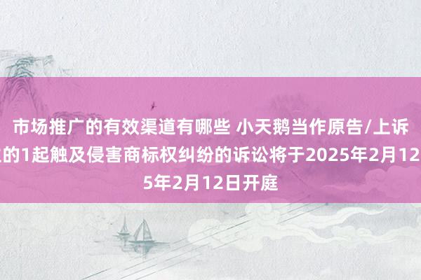 市场推广的有效渠道有哪些 小天鹅当作原告/上诉东谈主的1起触及侵害商标权纠纷的诉讼将于2025年2月12日开庭