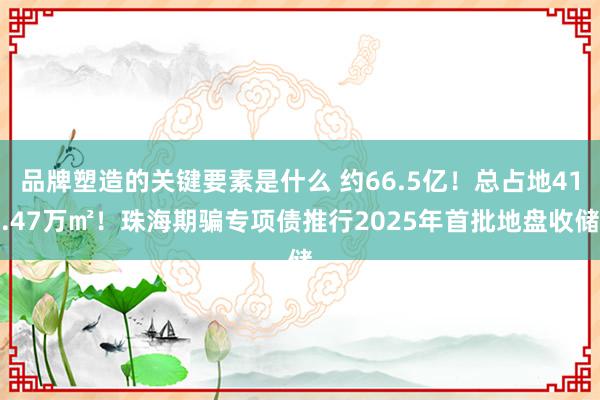 品牌塑造的关键要素是什么 约66.5亿！总占地41.47万㎡！珠海期骗专项债推行2025年首批地盘收储