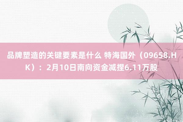 品牌塑造的关键要素是什么 特海国外（09658.HK）：2月10日南向资金减捏6.11万股