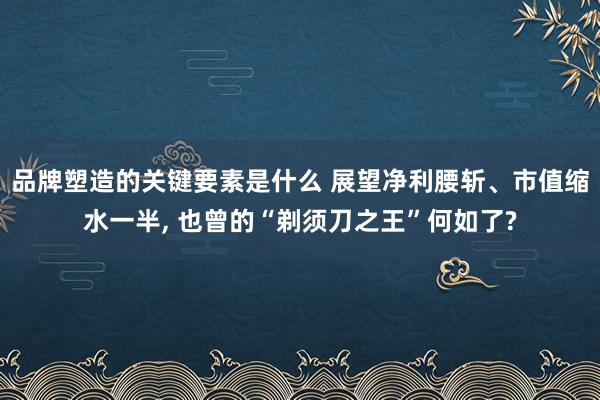 品牌塑造的关键要素是什么 展望净利腰斩、市值缩水一半, 也曾的“剃须刀之王”何如了?