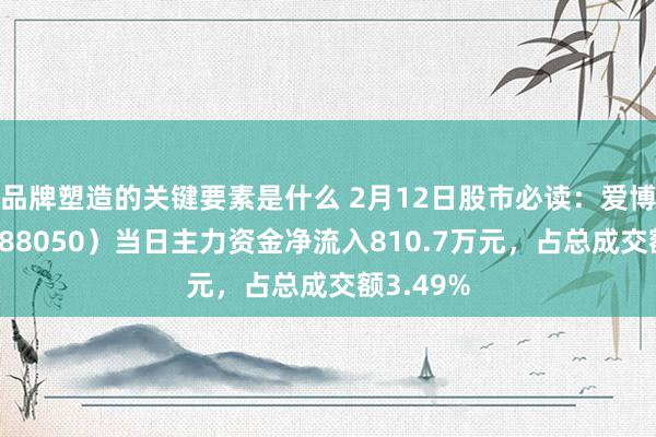 品牌塑造的关键要素是什么 2月12日股市必读：爱博医疗（688050）当日主力资金净流入810.7万元，占总成交额3.49%