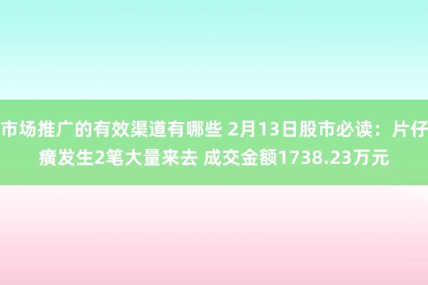 市场推广的有效渠道有哪些 2月13日股市必读：片仔癀发生2笔大量来去 成交金额1738.23万元