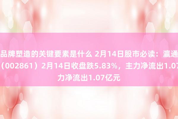 品牌塑造的关键要素是什么 2月14日股市必读：瀛通通信（002861）2月14日收盘跌5.83%，主力净流出1.07亿元