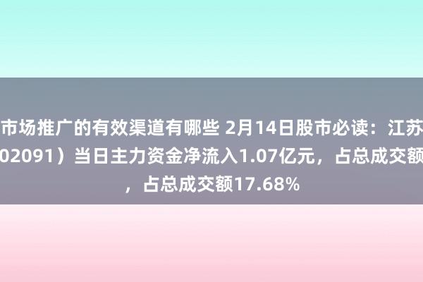 市场推广的有效渠道有哪些 2月14日股市必读：江苏国泰（002091）当日主力资金净流入1.07亿元，占总成交额17.68%