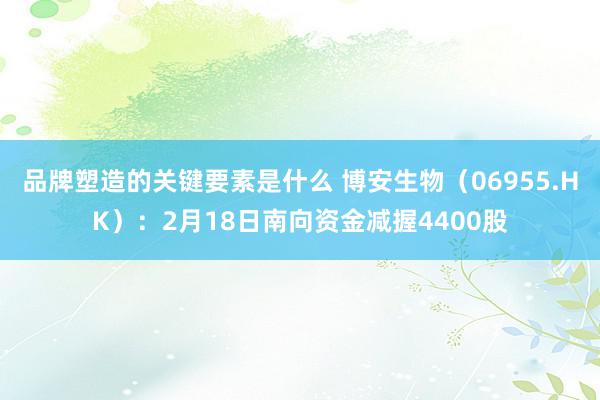 品牌塑造的关键要素是什么 博安生物（06955.HK）：2月18日南向资金减握4400股