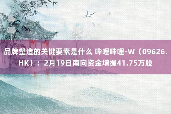 品牌塑造的关键要素是什么 哔哩哔哩-W（09626.HK）：2月19日南向资金增握41.75万股